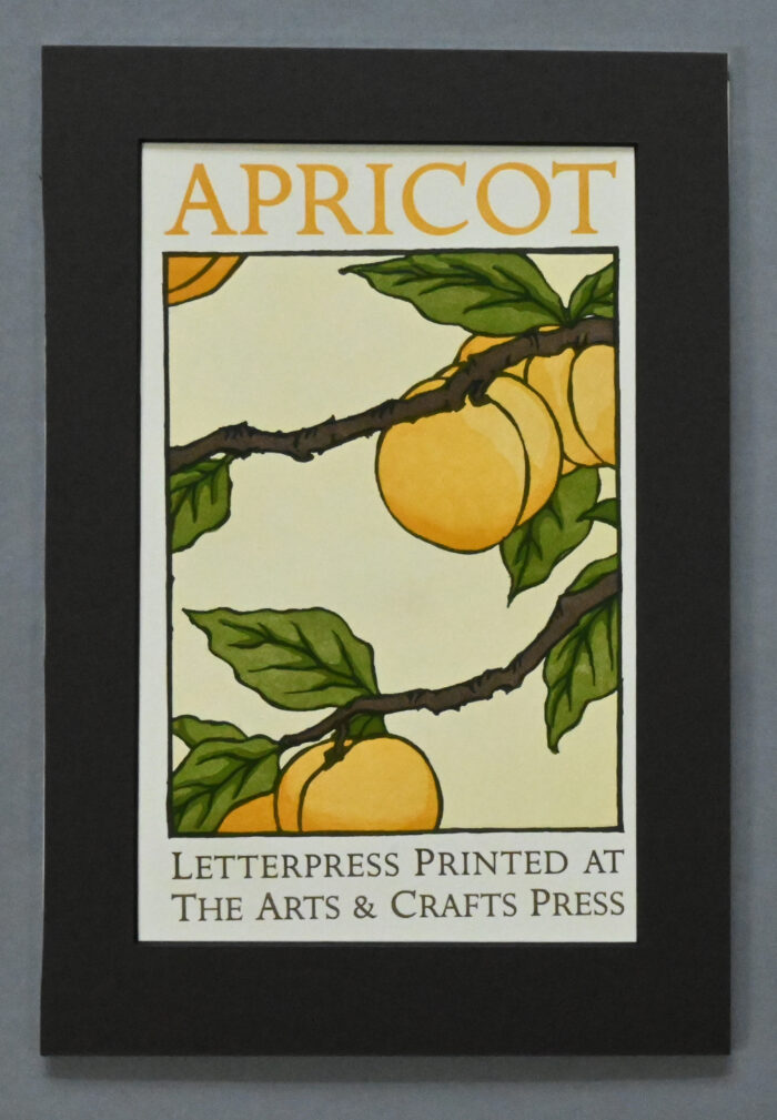 Blockprint by Yoshiko Yamamoto, APRICOT